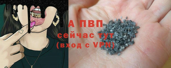 прущие грибы Сафоново