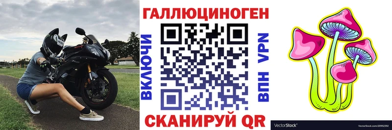 Купить где  Кирово-Чепецк  Галлюциногенные грибы мицелий 